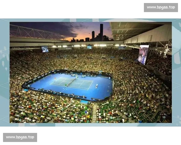 从入门到精通全面解析体育比赛观看技巧与乐趣提升观赛体验的方法指南