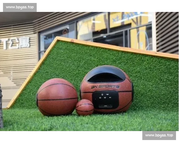 体育应用高速下载安装攻略畅享赛事直播比分资讯一站式平台推荐榜