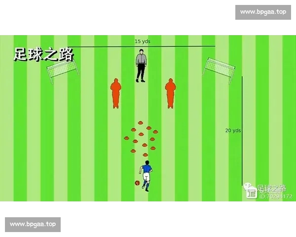 基于足球射门数据的精准分析与效果评估研究 基于足球射门数据的精准分析与效果评估研究